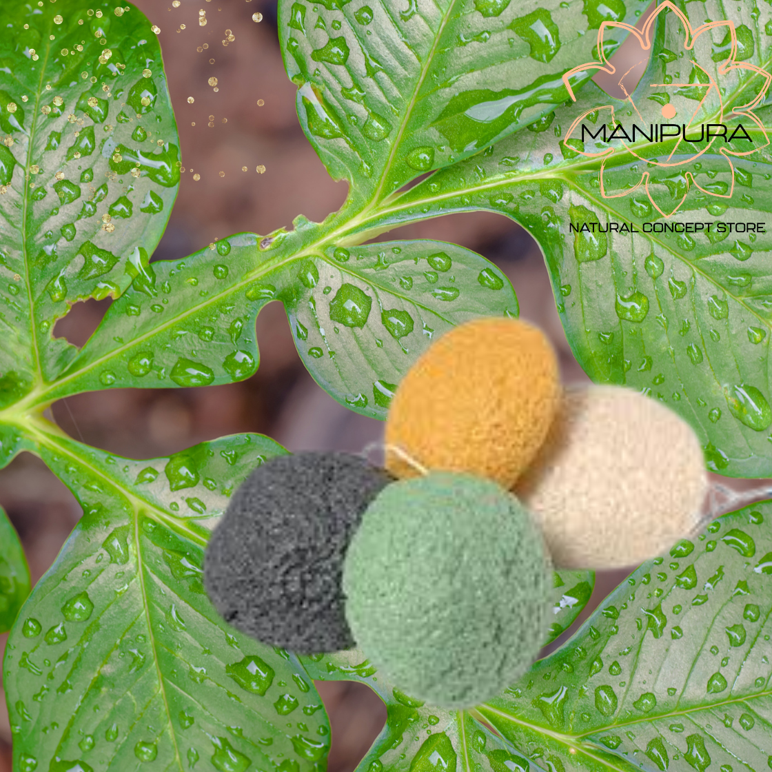 Spugna Viso Vegetale Konjac